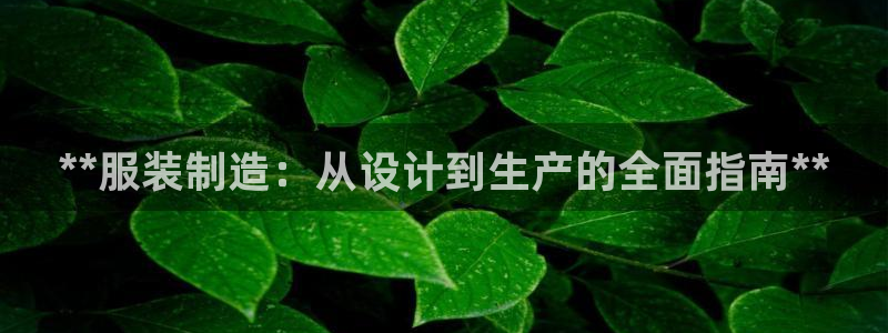 彩神ⅴll是什么样平台：**服装制造：从设计到生产的全面指南**