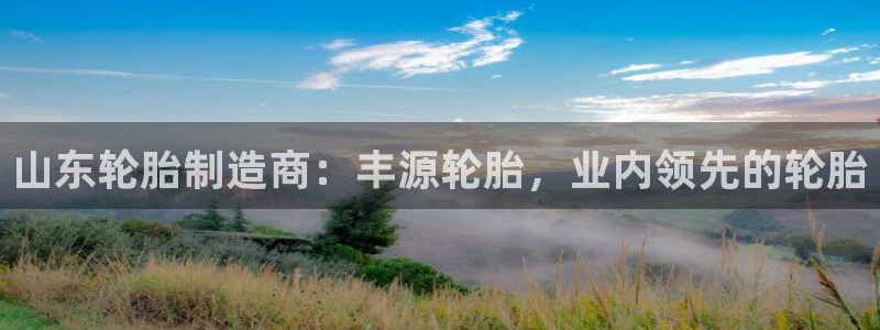 彩神怎么样可以提现：山东轮胎制造商：丰源轮胎，业内领先的轮胎
