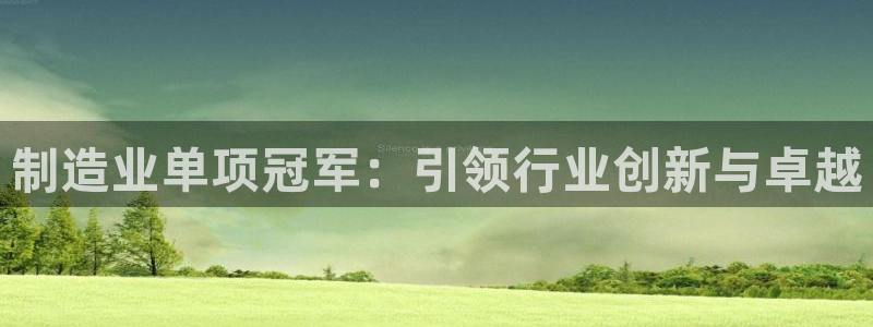 彩神v争霸是啥：制造业单项冠军：引领行业创新与卓越