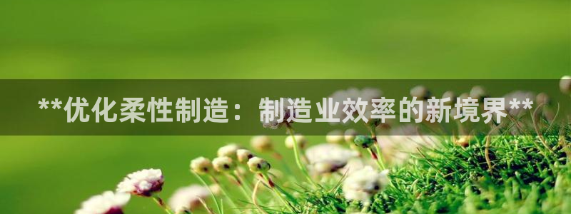 彩神8是正规平台吗安全吗：**优化柔性制造：制造业效率的新境界**