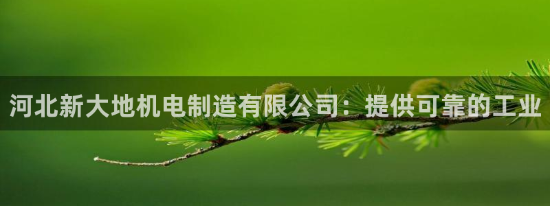 彩神购彩-购彩大厅入口下载：河北新大地机电制造有限公司：提供可靠的工业