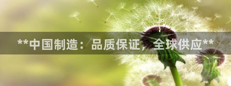 彩神8彩平台官网：**中国制造：品质保证，全球供应**
