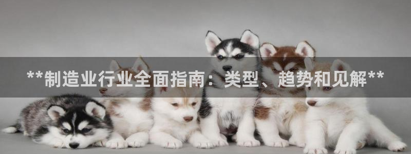 彩神v下载安装：**制造业行业全面指南：类型、趋势和见解**