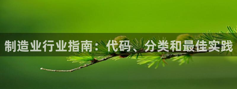 彩神赢的钱是哪里来的啊：制造业行业指南：代码、分类和最佳实践