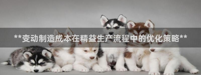 彩神viii是正规平台吗?：**变动制造成本在精益生产流程中