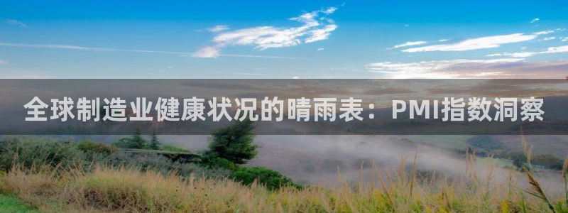 彩神vll首页：全球制造业健康状况的晴雨表：PMI指数洞察