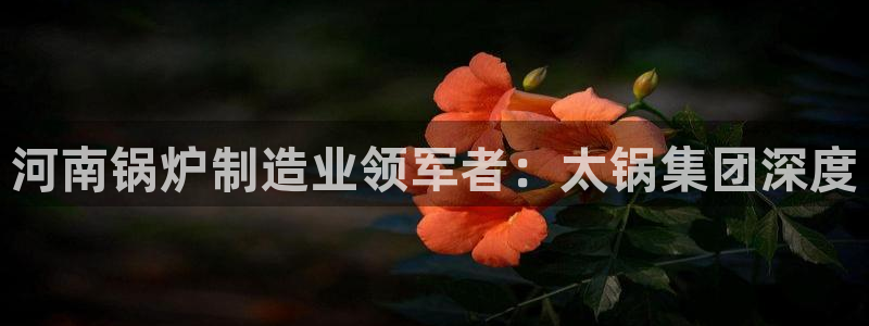 彩神vll首页：河南锅炉制造业领军者：太锅集团深度