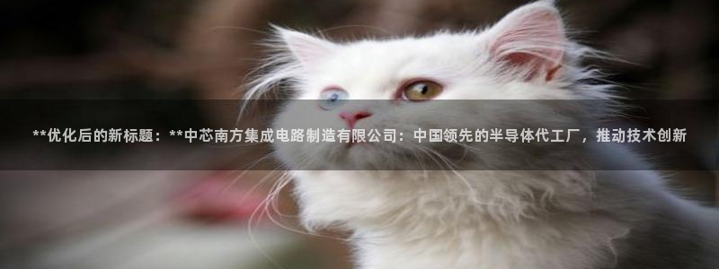 彩神合法吗.是国家认可的吗：**优化后的新标题：**中芯南方