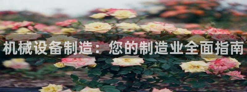 彩神赢钱了吗是真的吗：机械设备制造：您的制造业全面指南