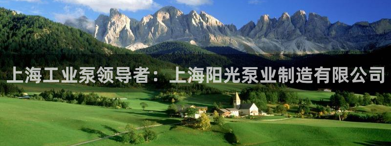 彩神v争霸是啥：上海工业泵领导者：上海阳光泵业制造有限公司