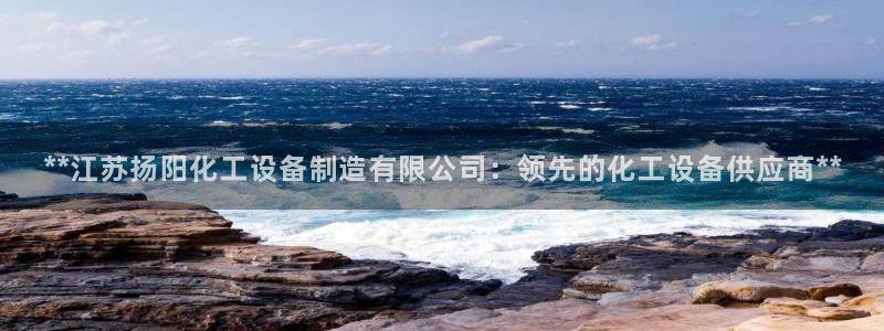 彩神vip购彩：**江苏扬阳化工设备制造有限公司：领先的化工设备供应商**