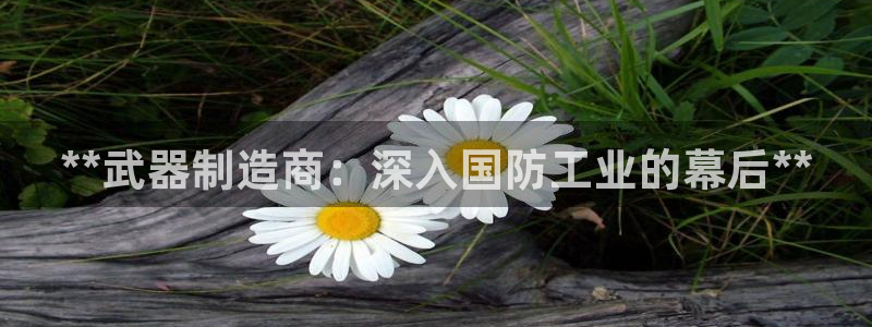 彩神v8官网版：**武器制造商：深入国防工业的幕后**