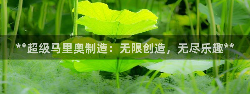 彩神v违法么：**超级马里奥制造：无限创造，无尽乐趣**