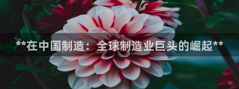 彩神是正规平台吗知乎：**在中国制造：全球制造业巨头的崛起**