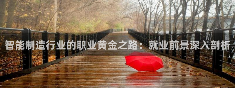 彩神iv真的能赚钱吗：智能制造行业的职业黄金之路：就业前景深入剖析