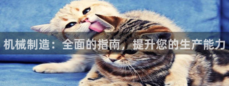 彩神广告有限公司：机械制造：全面的指南，提升您的生产能力