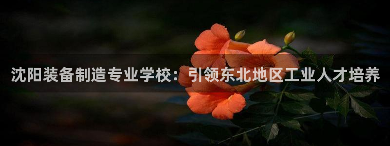 彩神v8手机客户端：沈阳装备制造专业学校：引领东北地区工业人才培养