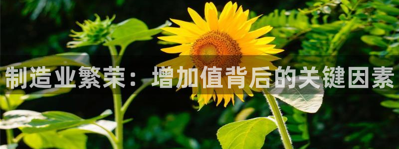 彩神vip购彩大厅在哪
