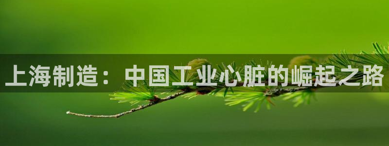 彩神大发黑平台：上海制造：中国工业心脏的崛起之路