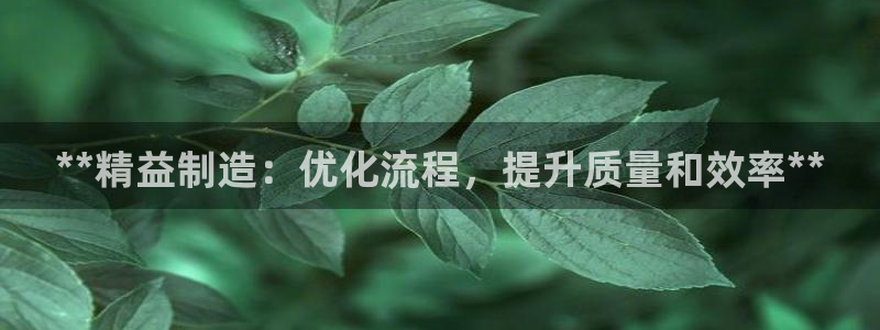 彩神网官网登录：**精益制造：优化流程，提升质量和效率**