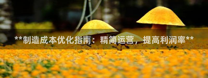 彩神 好 平台：**制造成本优化指南：精简运营，提高利润率**