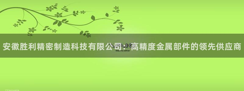 彩神争霸官网登录平台：安徽胜利精密制造科技有限公司：高精度金属部件的领先供应商
