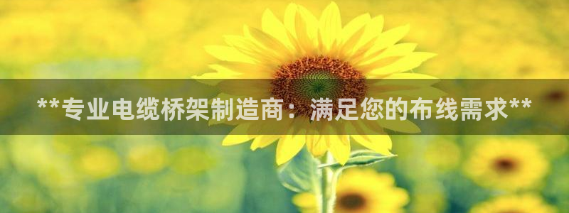 彩神vii购彩l心：**专业电缆桥架制造商：满足您的布线需求