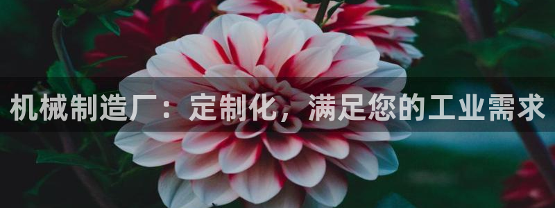 彩神v下载安装：机械制造厂：定制化，满足您的工业需求