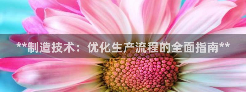 有谁知道彩神争霸的网址：**制造技术：优化生产流程的全面指南