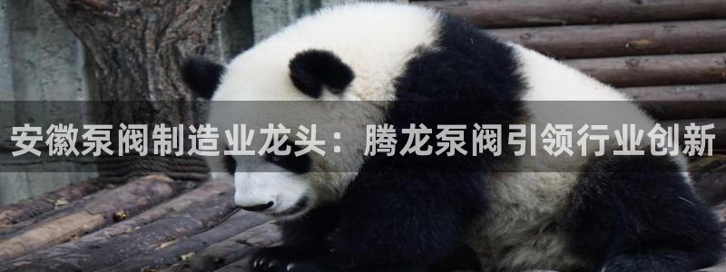 彩神争霸官方登录：安徽泵阀制造业龙头：腾龙泵阀引领行业创新