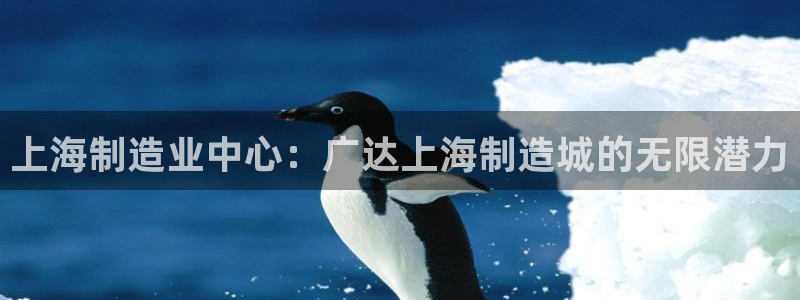 彩神vip购彩大厅：上海制造业中心：广达上海制造城的无限潜力