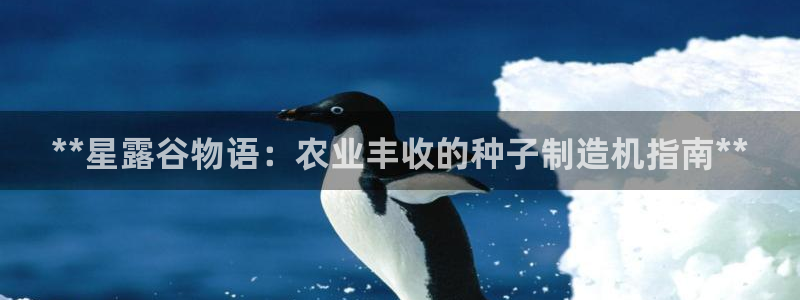 彩神是怎样一个平台赚钱的：**星露谷物语：农业丰收的种子制造机指南**