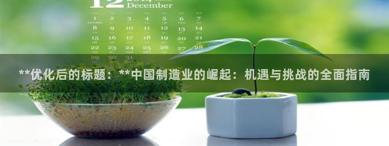 彩神vll官网-最新版app下载：**优化后的标题：**中国制造业的崛起：机遇与挑战的全面指南