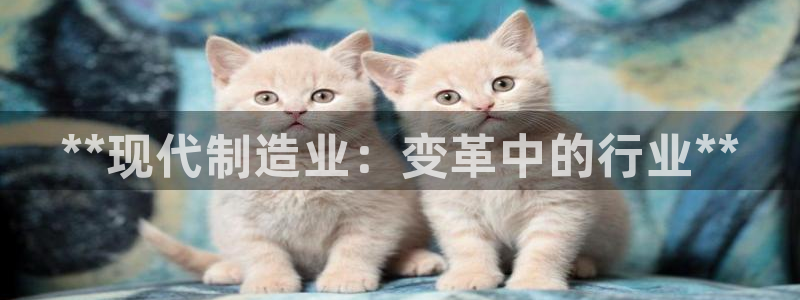 彩神vll首页环球：**现代制造业：变革中的行业**