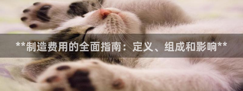 彩神vii手游下载：**制造费用的全面指南：定义、组成和影响**