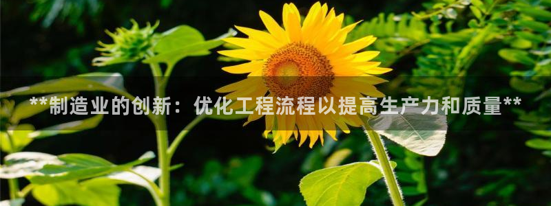 彩神v8是真的挣钱吗知乎：**制造业的创新：优化工程流程以提高生产力和质量**