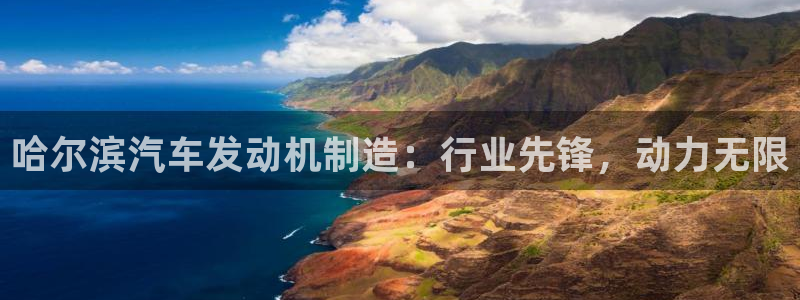 彩神赢的钱是哪里来的：哈尔滨汽车发动机制造：行业先锋，动力无限