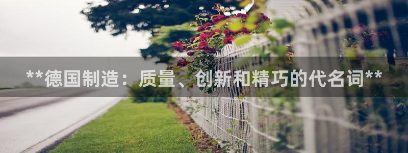 彩神viii官网：**德国制造：质量、创新和精巧的代名词**