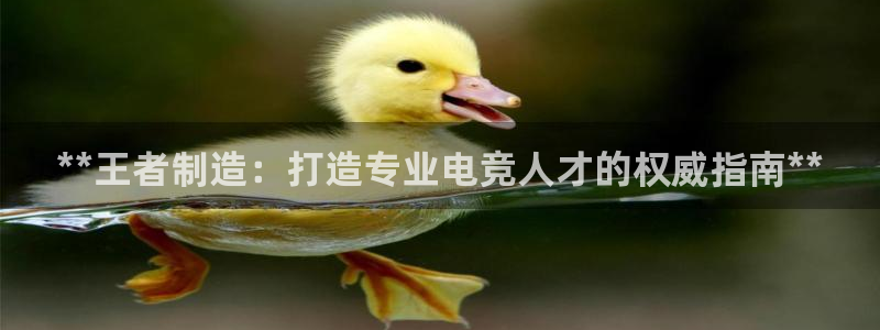 彩神ios下载：**王者制造：打造专业电竞人才的权威指南**