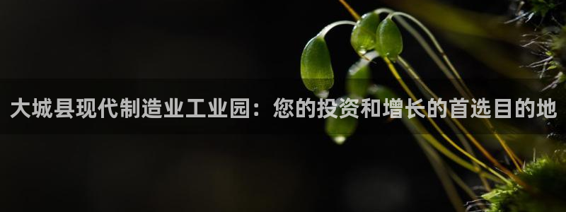 彩神vlll官方网：大城县现代制造业工业园：您的投资和增长的首选目的地