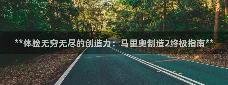 彩神大发黑平台：**体验无穷无尽的创造力：马里奥制造2终极指南**