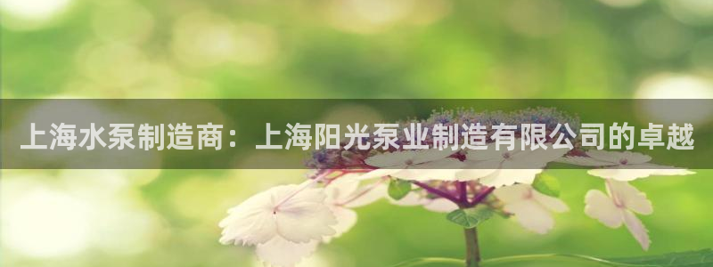 彩神通关注码金码对应码：上海水泵制造商：上海阳光泵业制造有限公司的卓越