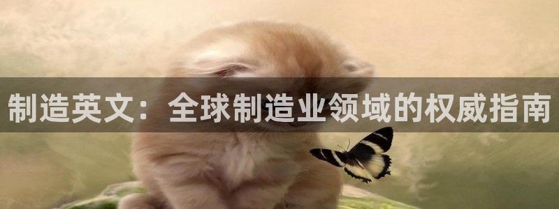 彩神赢钱了吗：制造英文：全球制造业领域的权威指南