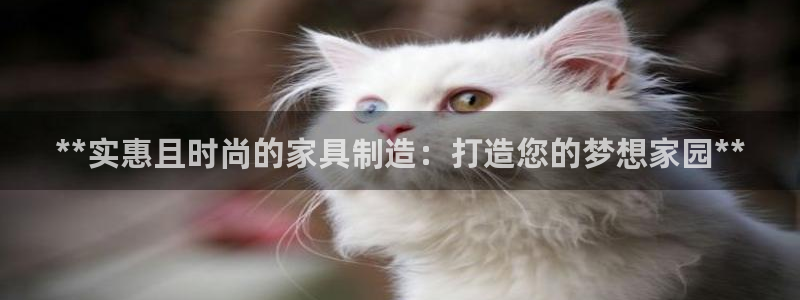 彩神赢钱了吗知乎：**实惠且时尚的家具制造：打造您的梦想家园**