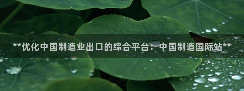 彩神vlll游戏特色：**优化中国制造业出口的综合平台：中国