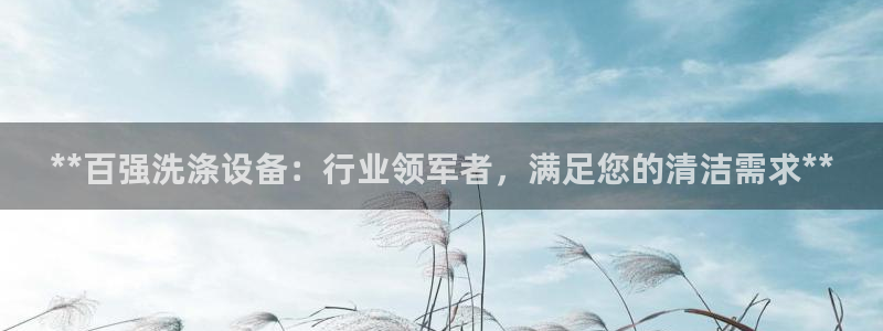 彩神8最新版下载：**百强洗涤设备：行业领军者，满足您的清洁需求**