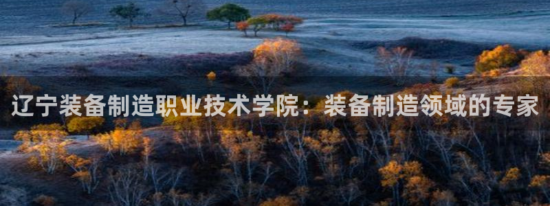 彩神赢了钱登录不上去：辽宁装备制造职业技术学院：装备制造领域的专家