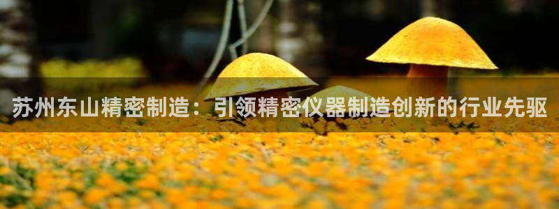 彩神x平台靠什么盈利：苏州东山精密制造：引领精密仪器制造创新的行业先驱