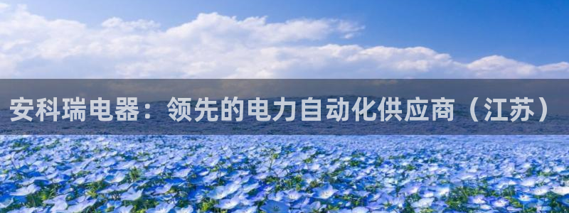 彩神网合法吗：安科瑞电器：领先的电力自动化供应商（江苏）