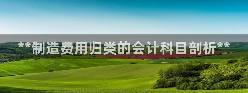 彩神vlll游戏特色：**制造费用归类的会计科目剖析**